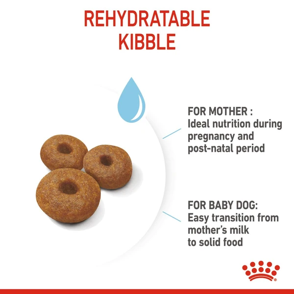 Royal Canin - Maxi Starter Dry Food 15kg