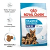 67aa0fa6_royal-canin-maxi-starter-dry-food-15kg