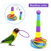 67dab82b_fun-stacking-bird-toys