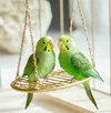 Rehoming Pair of Charming Budgies – Perfect Companions!